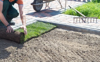 Man rolling out new grass on dirt lawn next to brick path